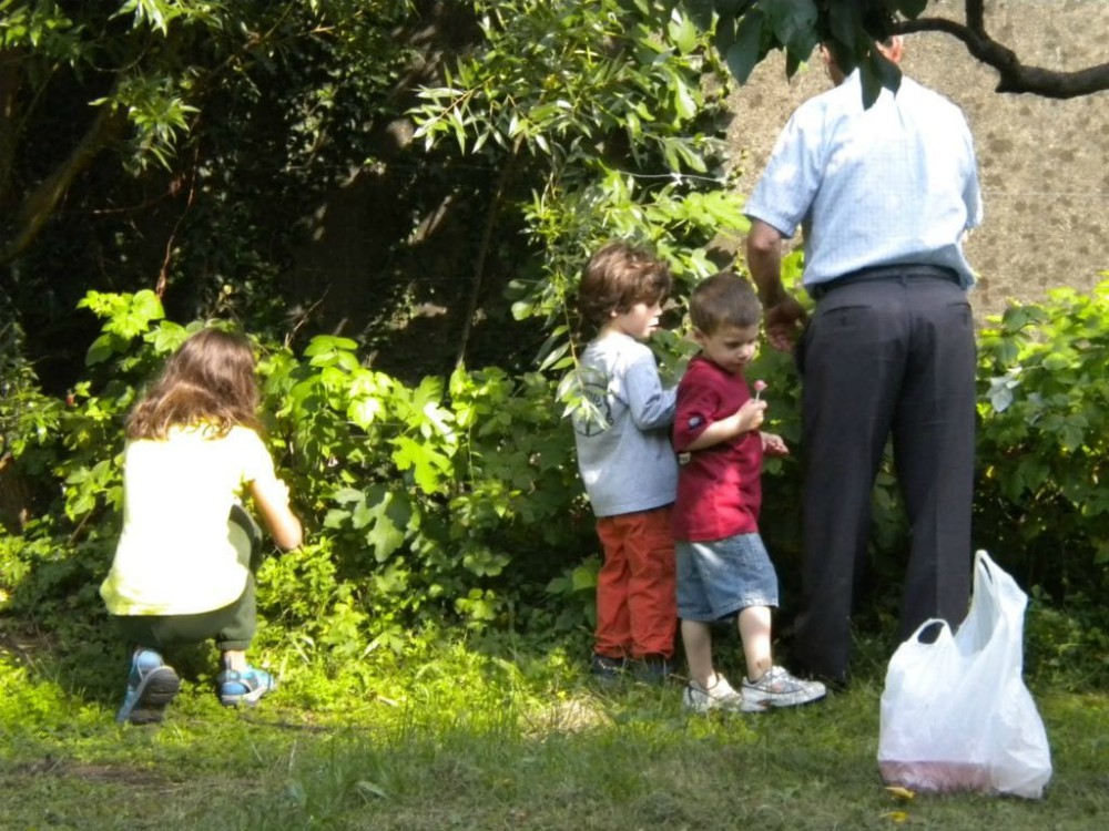 image of children picking berries with a nonno