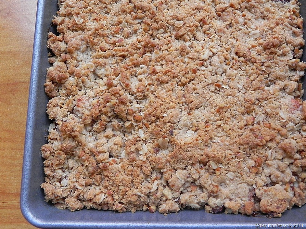 image of bars in a baking pan