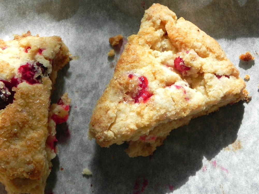 overhead image of clementine cranberry scones on parchment paper