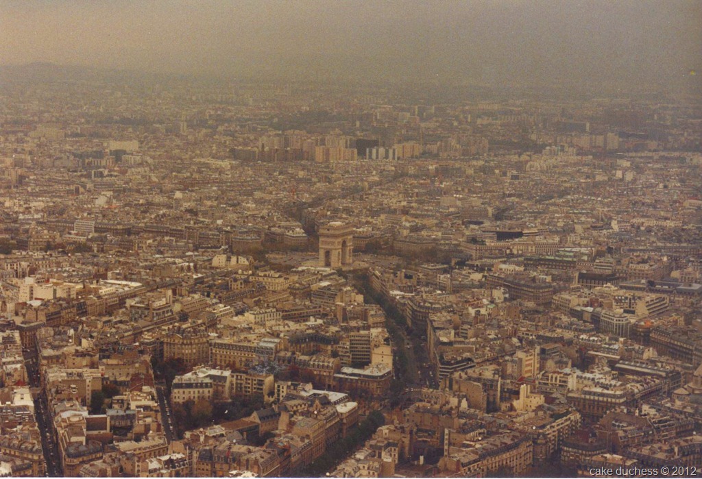 overhead image of city of paris