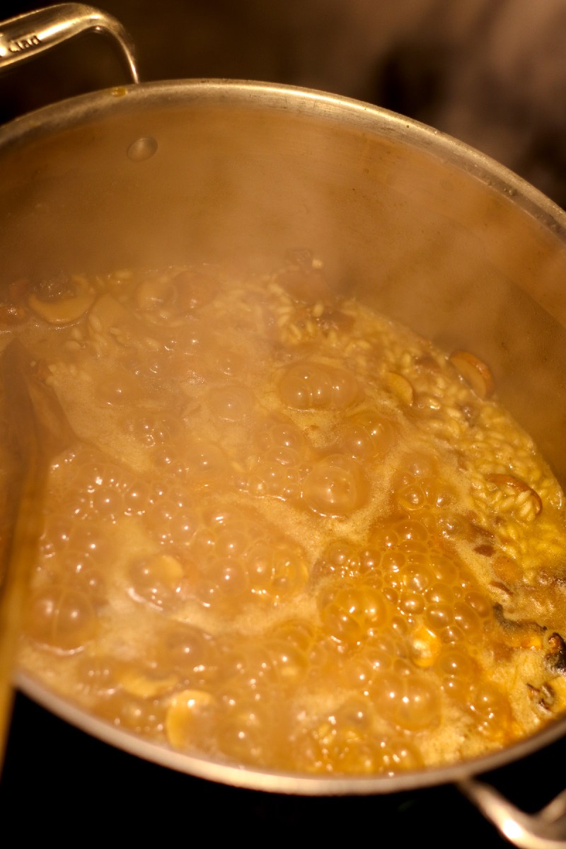 image of making risotto in a pot