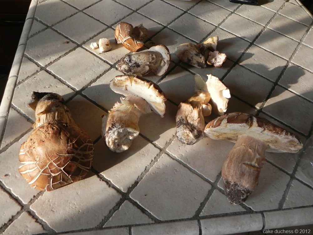image of mushrooms on a counter