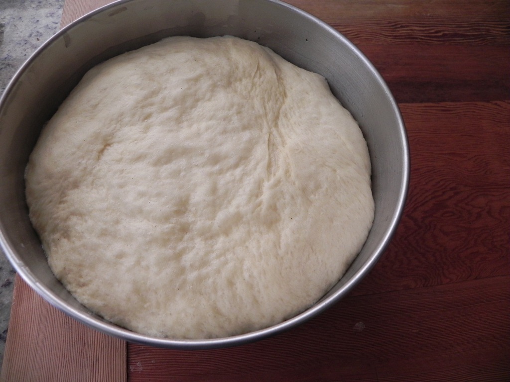 overhead image of dough rising in bowl