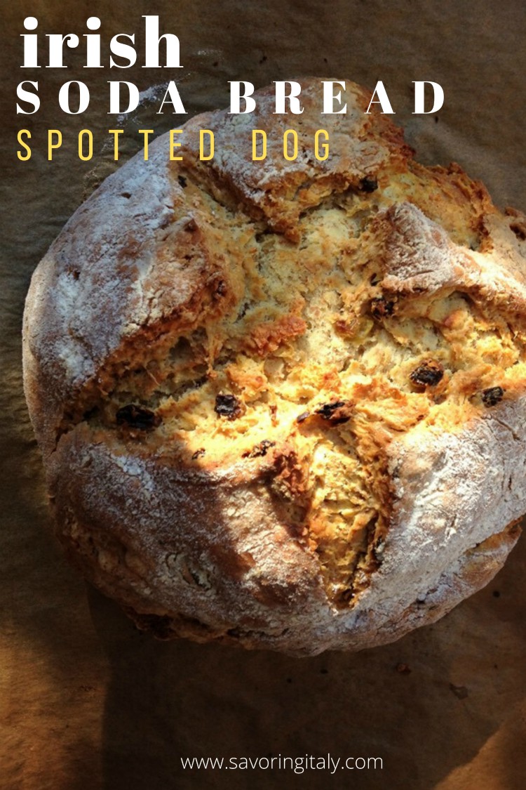 overhead image of spotted dog irish soda bread