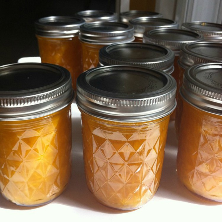 overhead image of fruit jam in canning jars