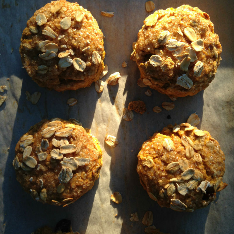 overhead image of scones with oats on top