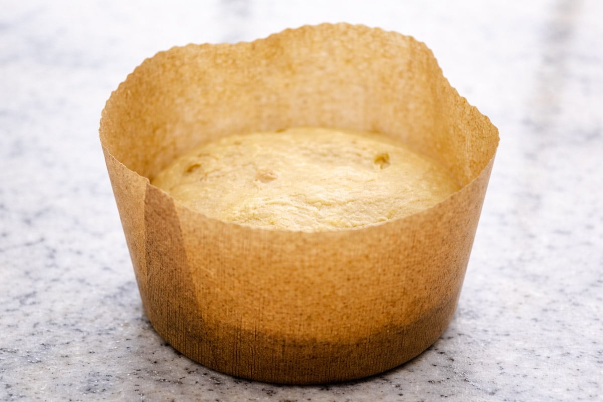 A single plain muffin, reminiscent of Sicilian Orange Sweet Bread, sits in a brown paper baking cup on a light gray, speckled surface. The muffin is lightly golden and has a smooth top with no visible toppings.