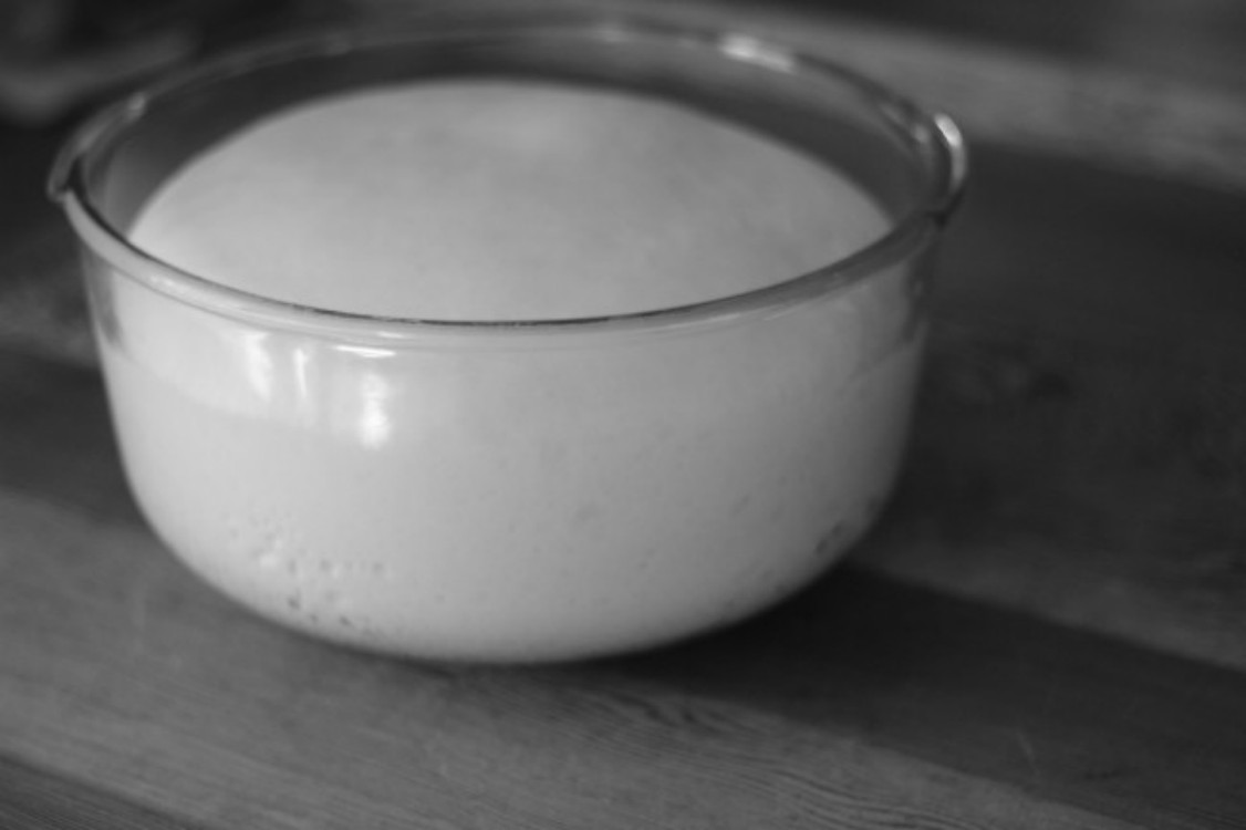 image of dough rising in a bowl 