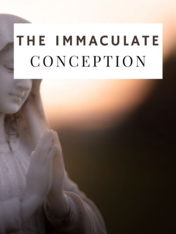 immaculate conception in italy.