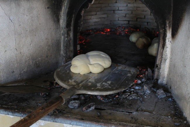Making Pane Calabrese in Sicily