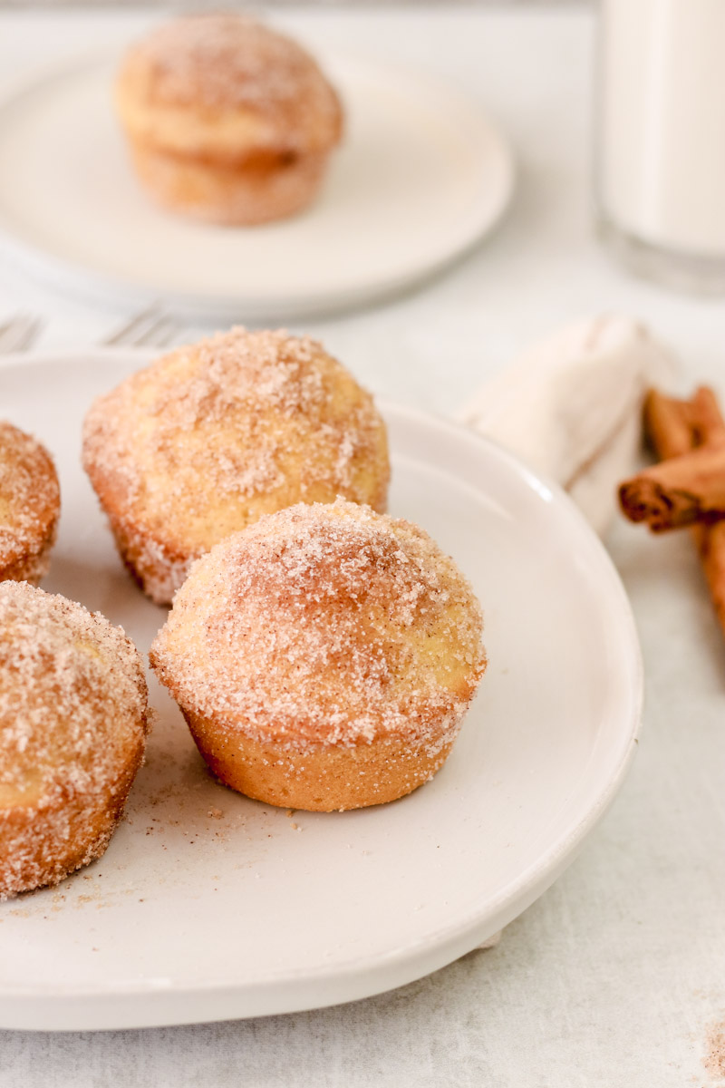 cinnamon sugar donut muffins
