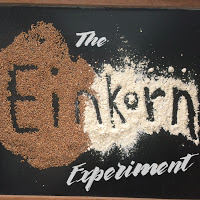 The Einkorn Experiment
