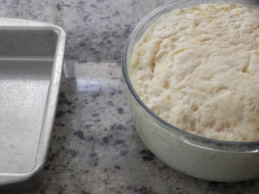 overhead image of proofing dough