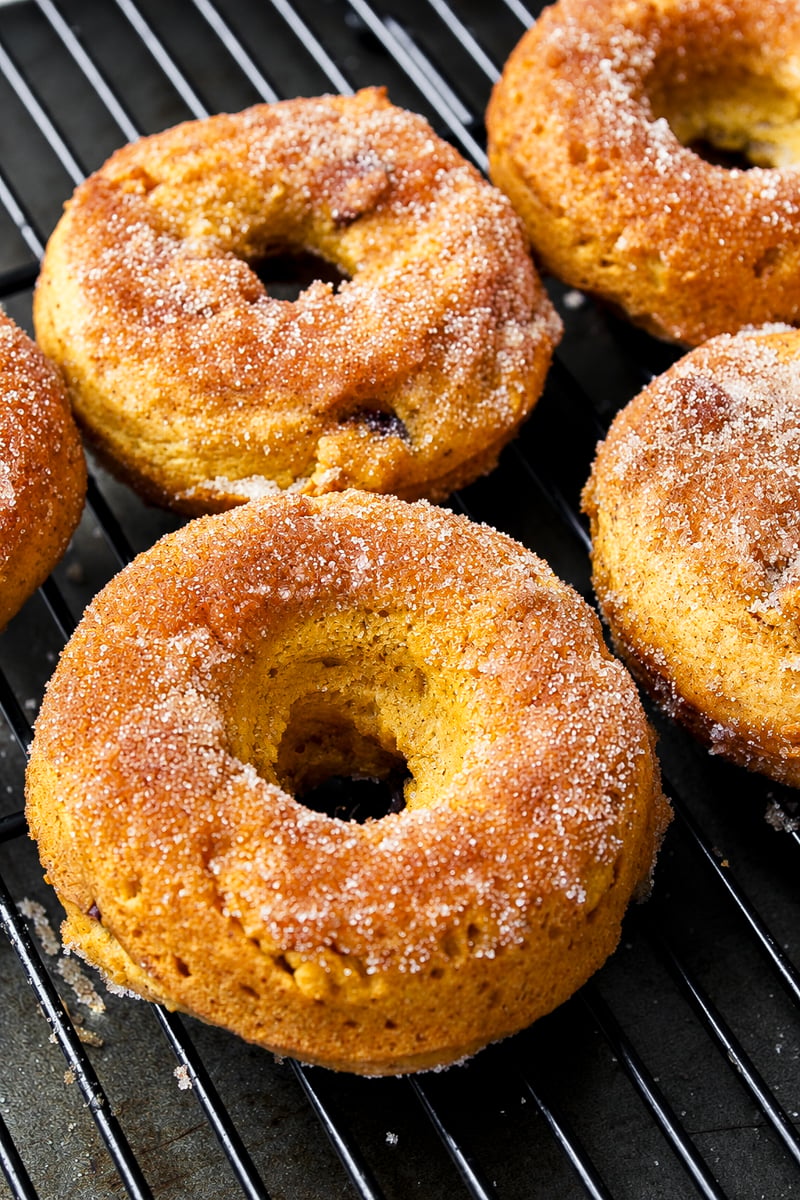 Five golden brown Vegan Pumpkin Chocolate Chip Donuts coated with cinnamon sugar cool on a black wire rack. The cake-like texture and soft, slightly crumbly surface make them irresistible.
