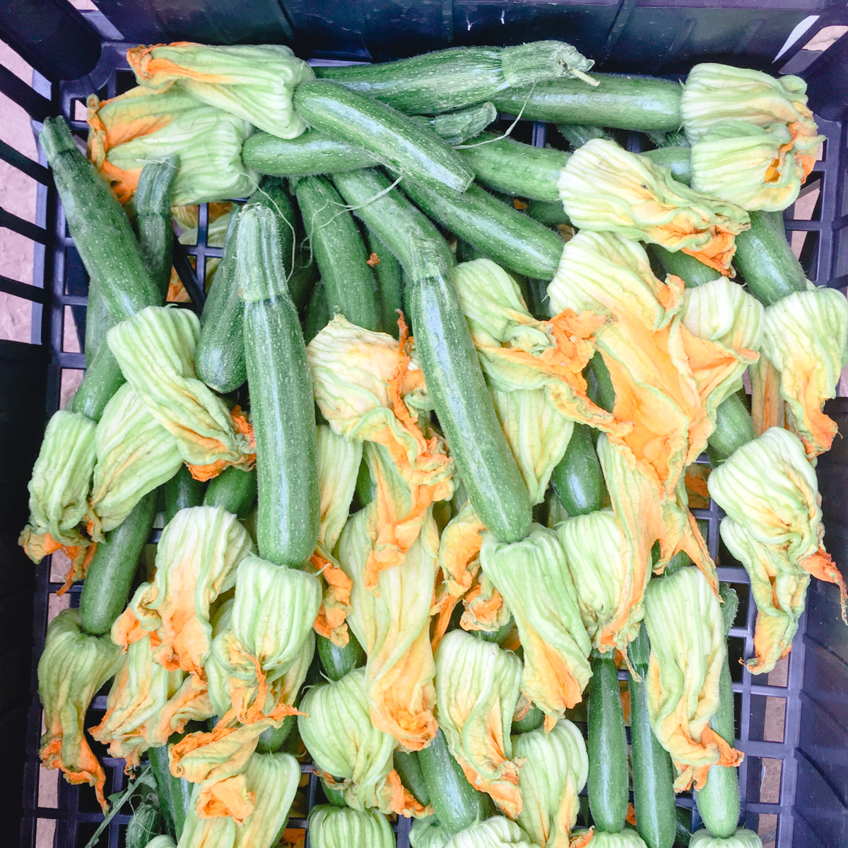 overhead image of zucchini flowers in a crate