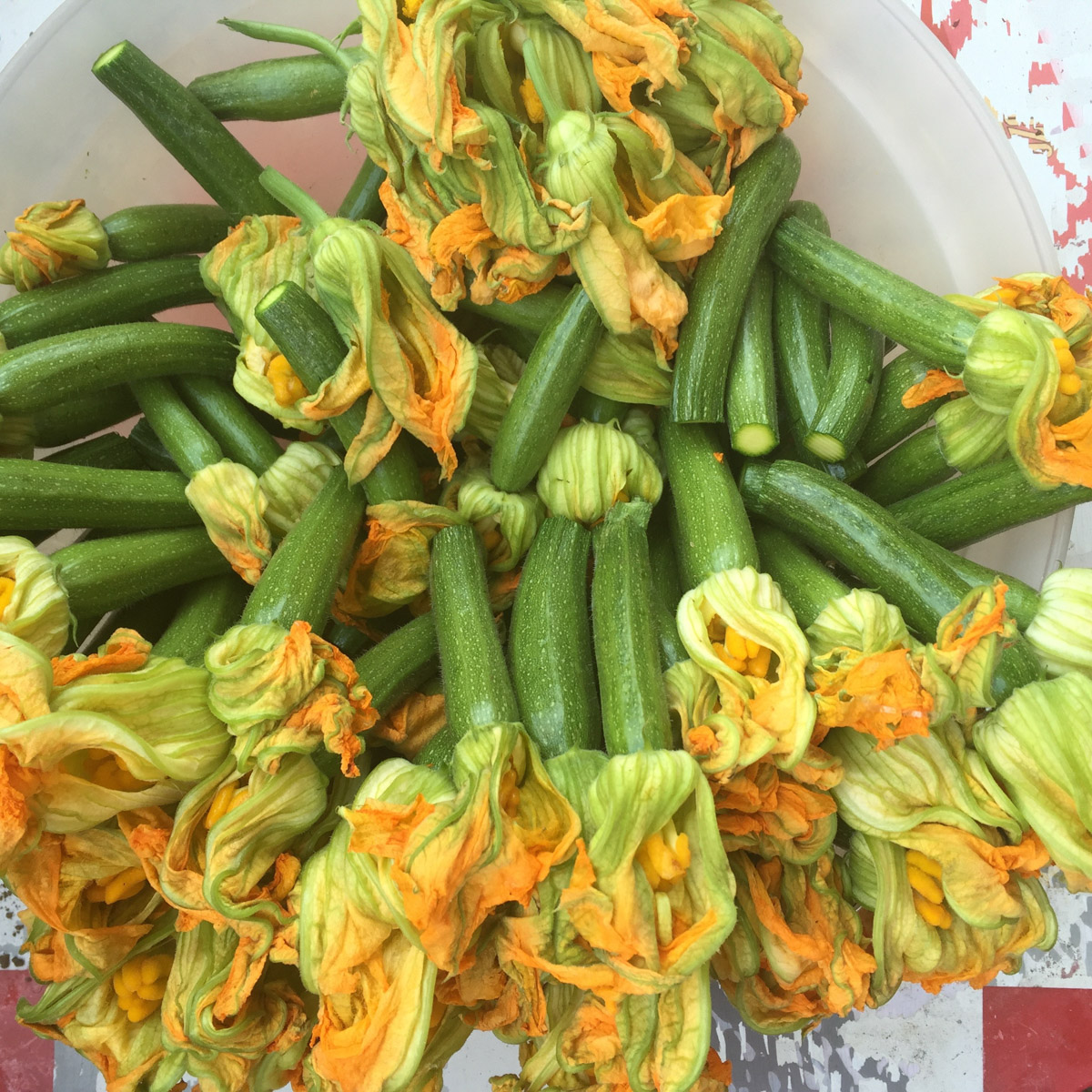 image of zucchini and flowers in a bowl.
