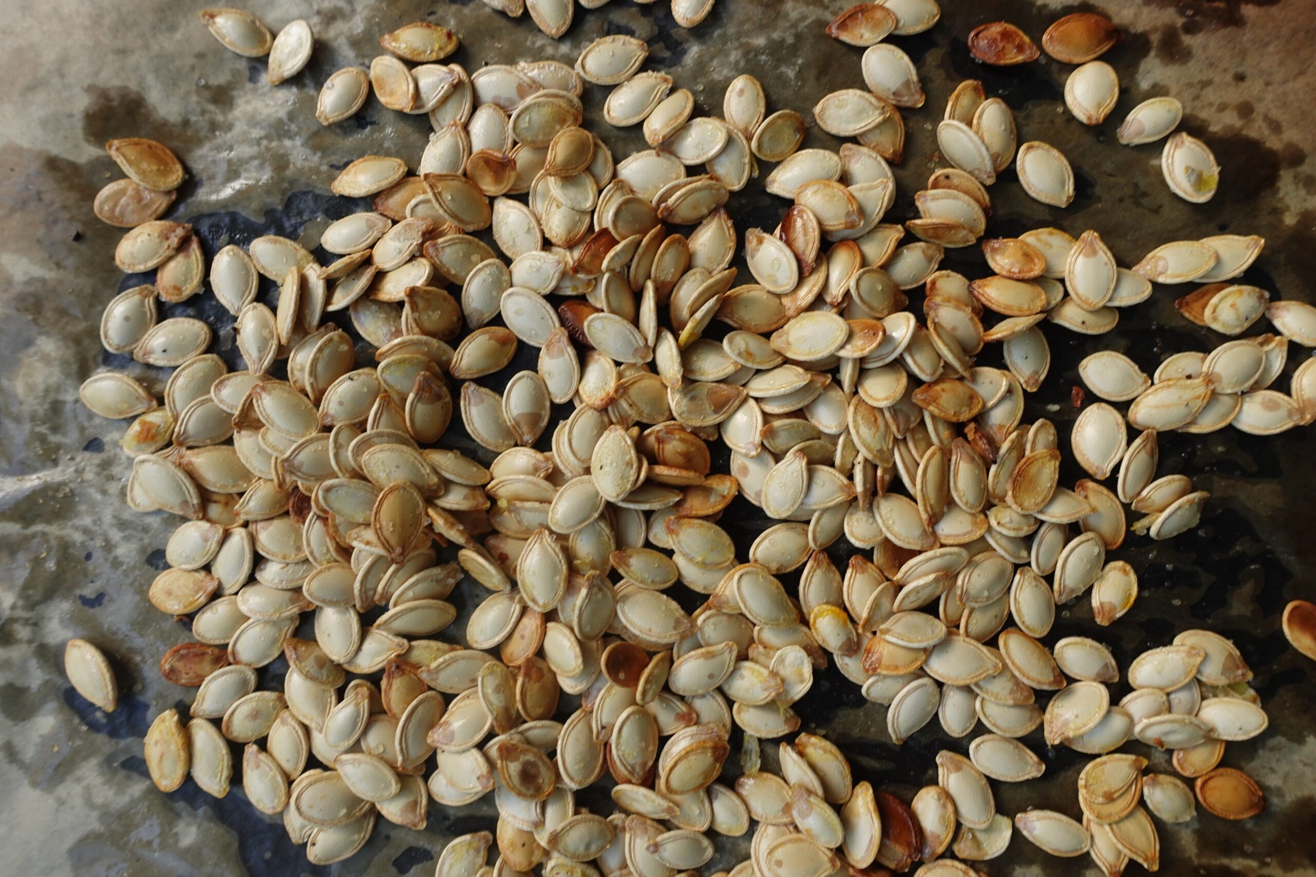 close up image of easy roasted pumpkin seeds on a baking sheet. 