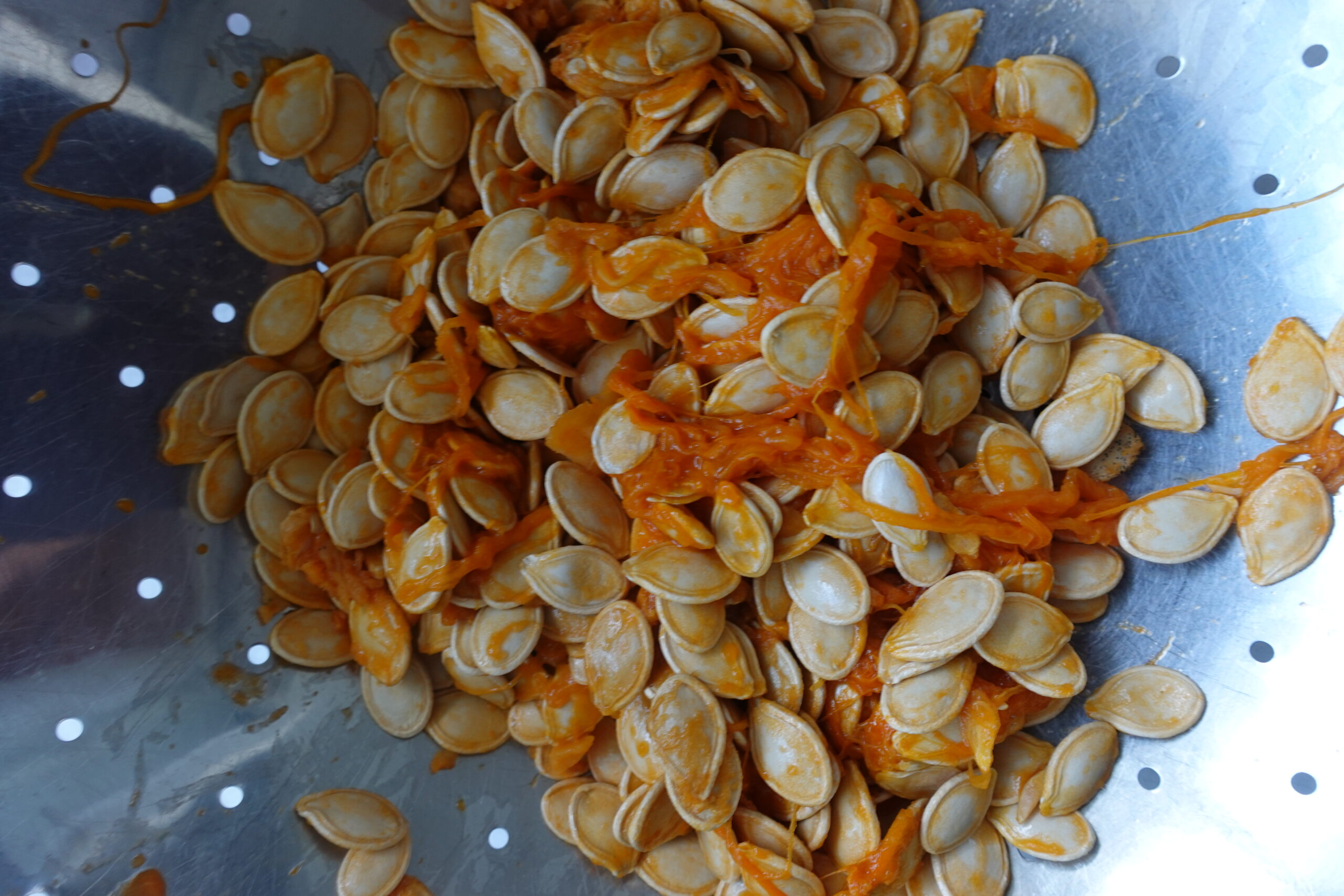 image of pumpkin seeds in a colander. 