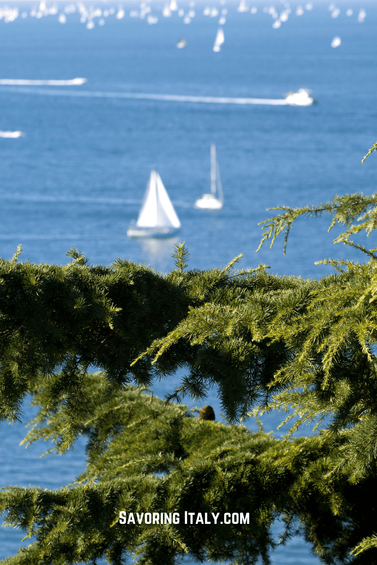 Image of Trieste Italy beaches.
