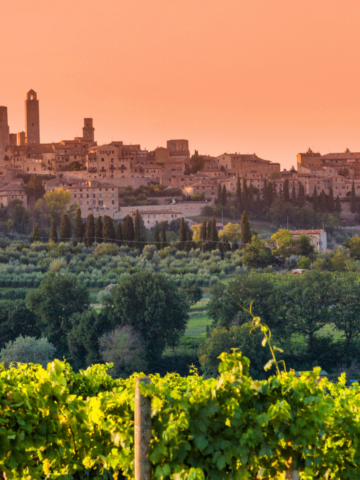Vineyard in the foreground with lush green grapevines, and a historic hilltop town with stone buildings and towers in the background under an orange sunset sky—perfect for exploring things to do in San Gimignano.