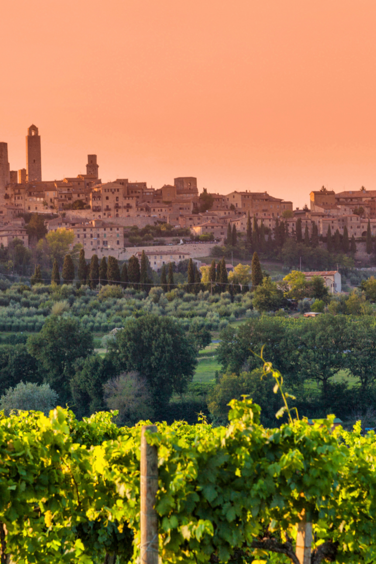 Vineyard in the foreground with lush green grapevines, and a historic hilltop town with stone buildings and towers in the background under an orange sunset sky—perfect for exploring things to do in San Gimignano.