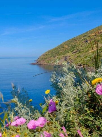 cropped-Filicudi-nature-preserve.jpg