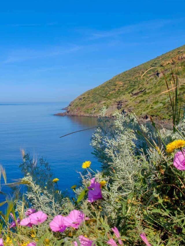 cropped-Filicudi-nature-preserve.jpg