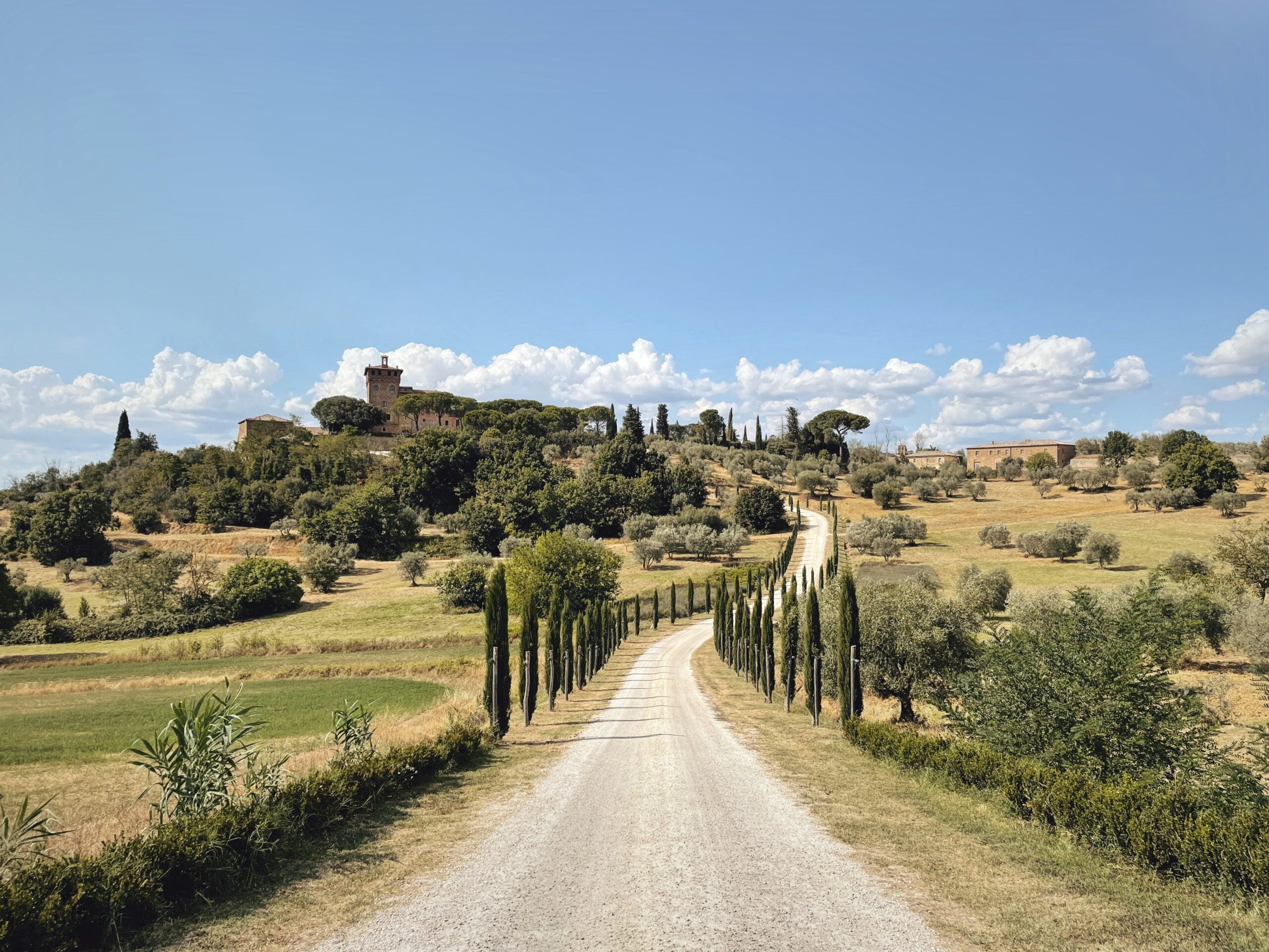 A picturesque view of classic Tuscan rural tree-lined streets near Siena, Italy. The photograph captures a winding road flanked by tall, slender cypress trees that form a natural, elegant corridor. The lush greenery and rolling hills in the background create a serene and idyllic countryside atmosphere, embodying the timeless beauty and tranquility of the Tuscan landscape. This scene highlights the enchanting rural charm that surrounds Siena, Italy, making it a perfect escape for nature lovers and travelers.