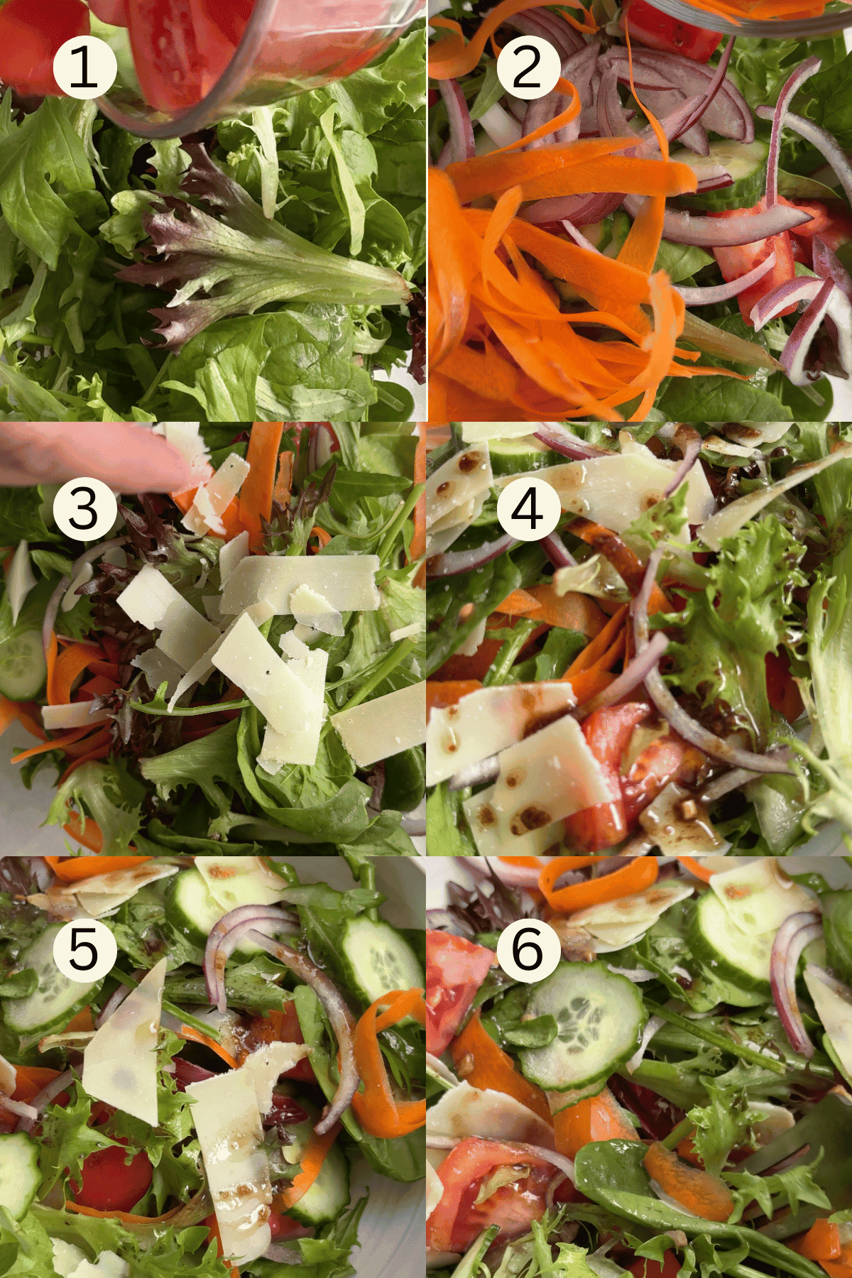 insalta mista instructions.