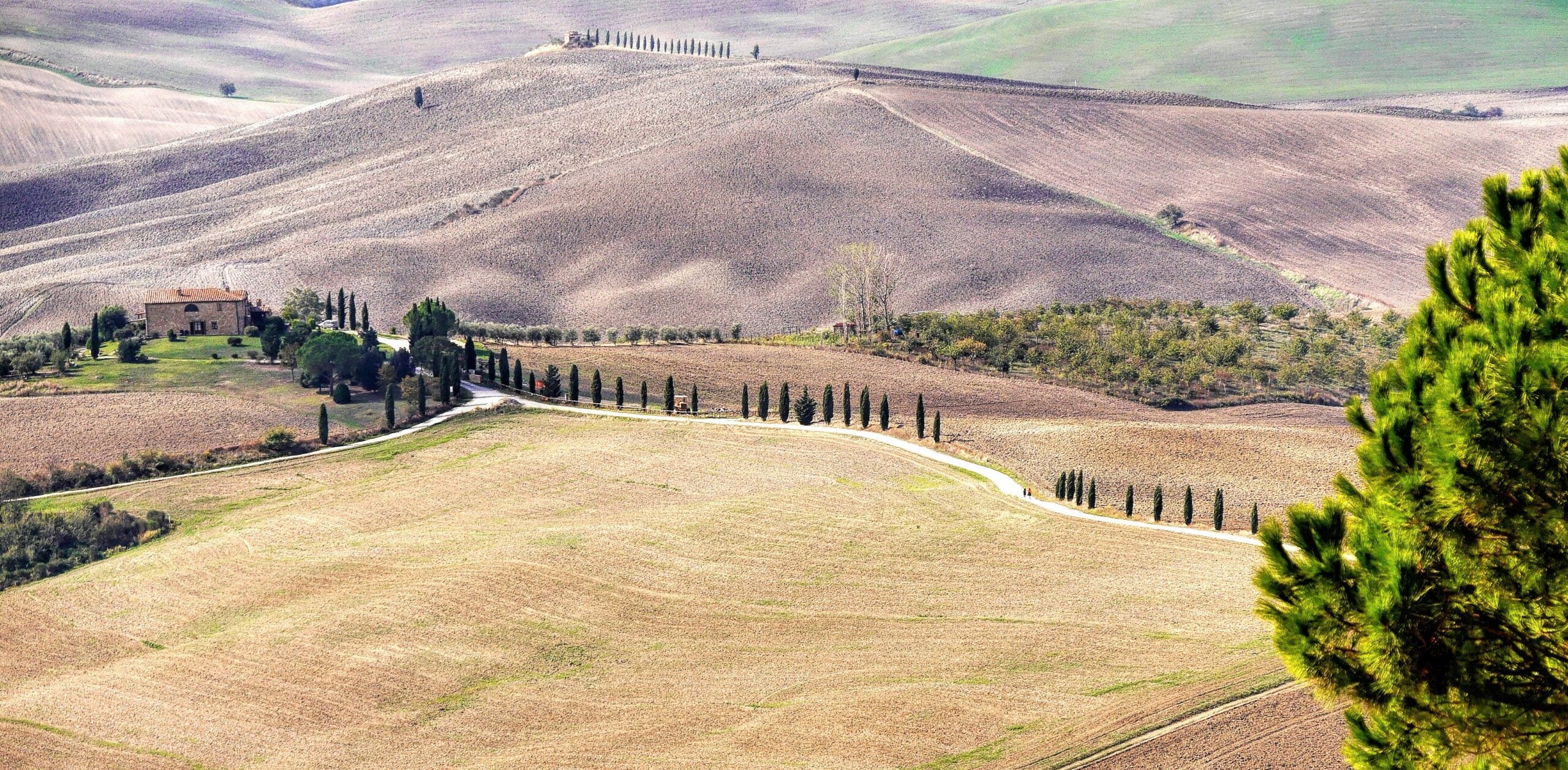 A breathtaking view of the Tuscan landscape, capturing the serene and picturesque beauty of the region. The photograph showcases rolling hills covered in lush vineyards and olive groves, interspersed with charming farmhouses and winding country roads. Tall cypress trees line the horizon, creating a classic Tuscan scene under a clear blue sky. This image epitomizes the tranquil and timeless charm of the Tuscan countryside, inviting viewers to experience the natural splendor of this iconic Italian region.
