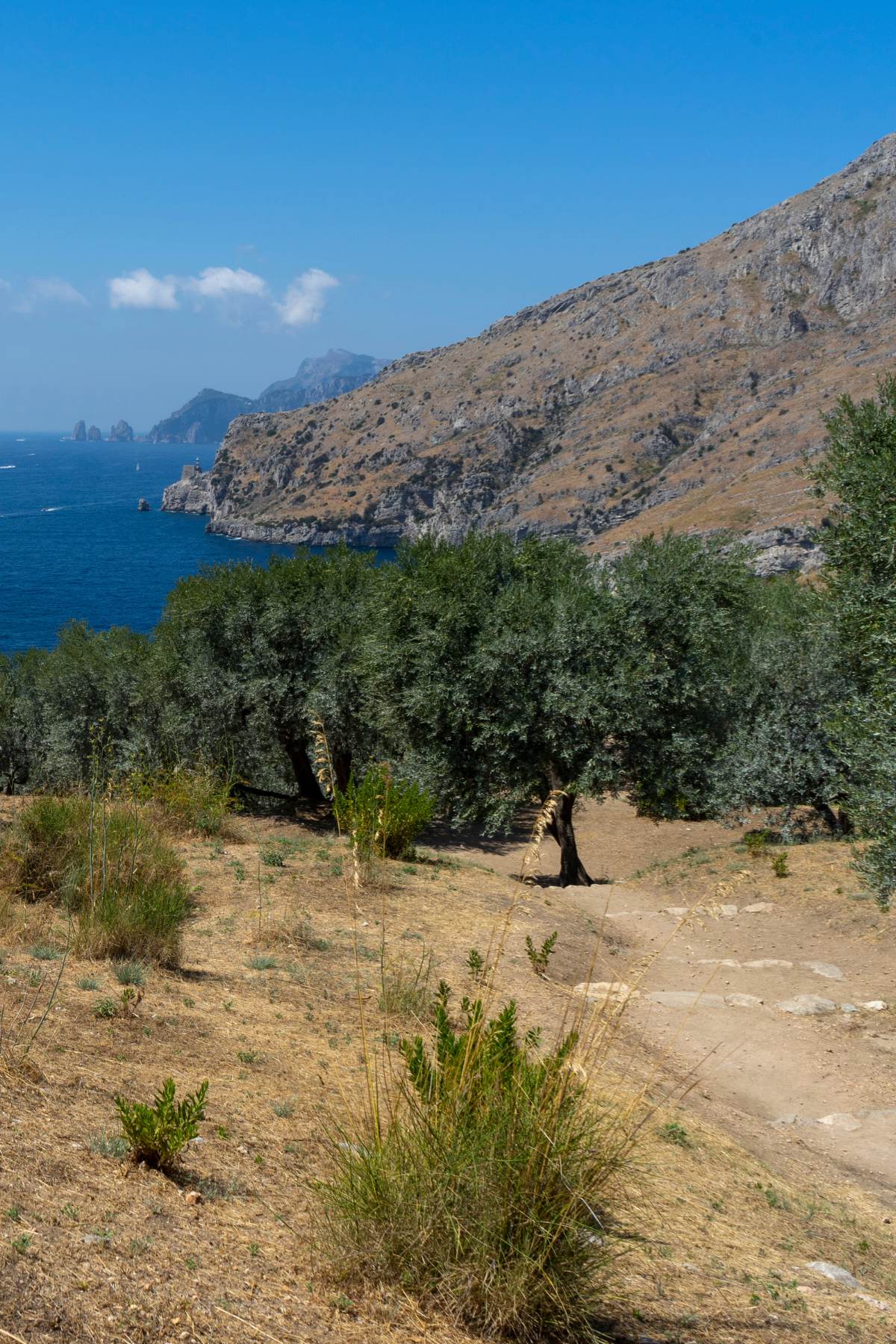 Scenic view of Sorrento coastline with cliffs and colorful buildings overlooking the Bay of Naples