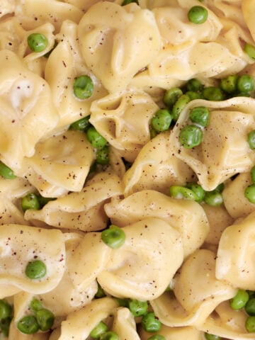 Tortellini close up image.