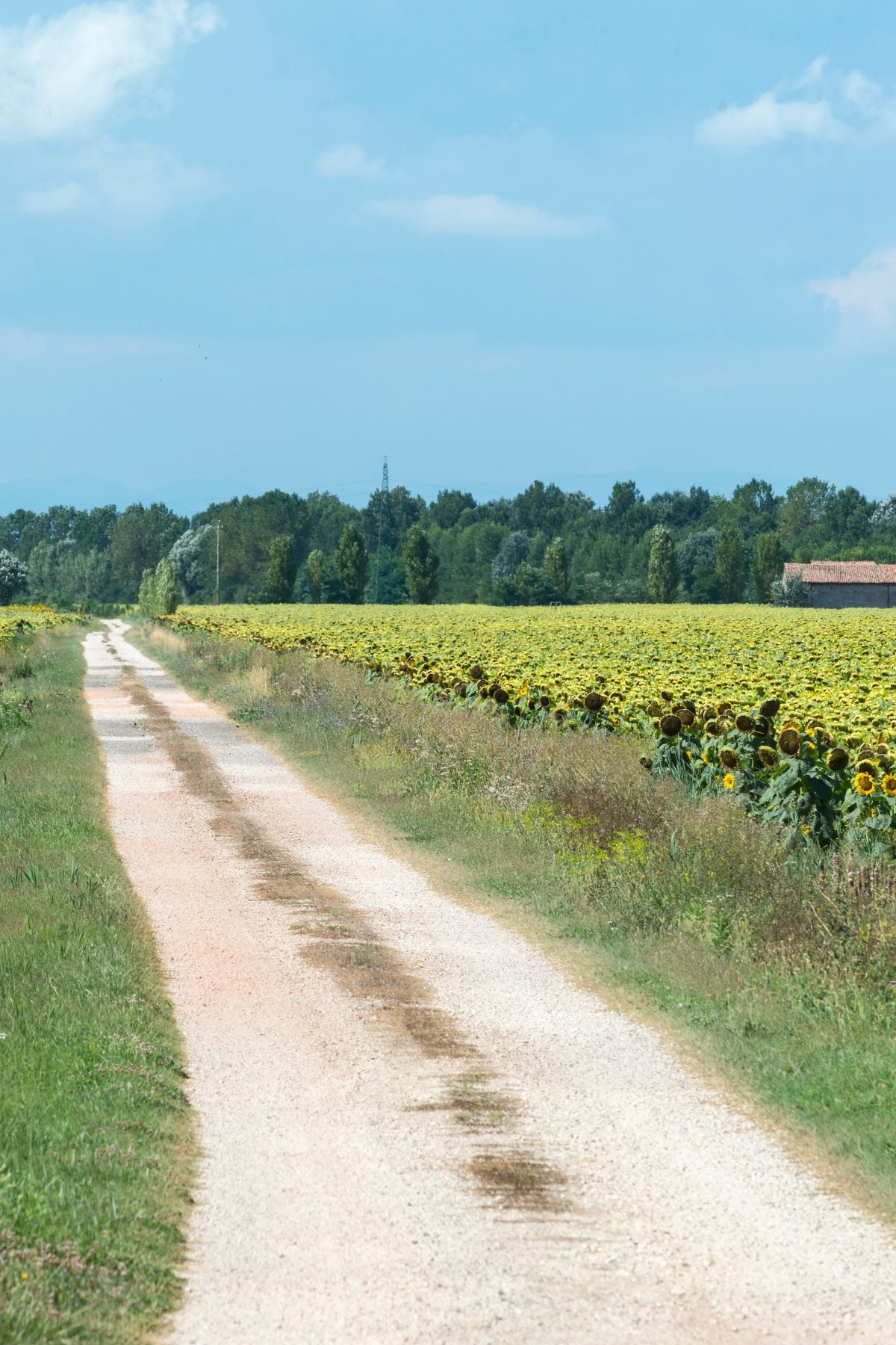 Ravenna, Italy travel guide.