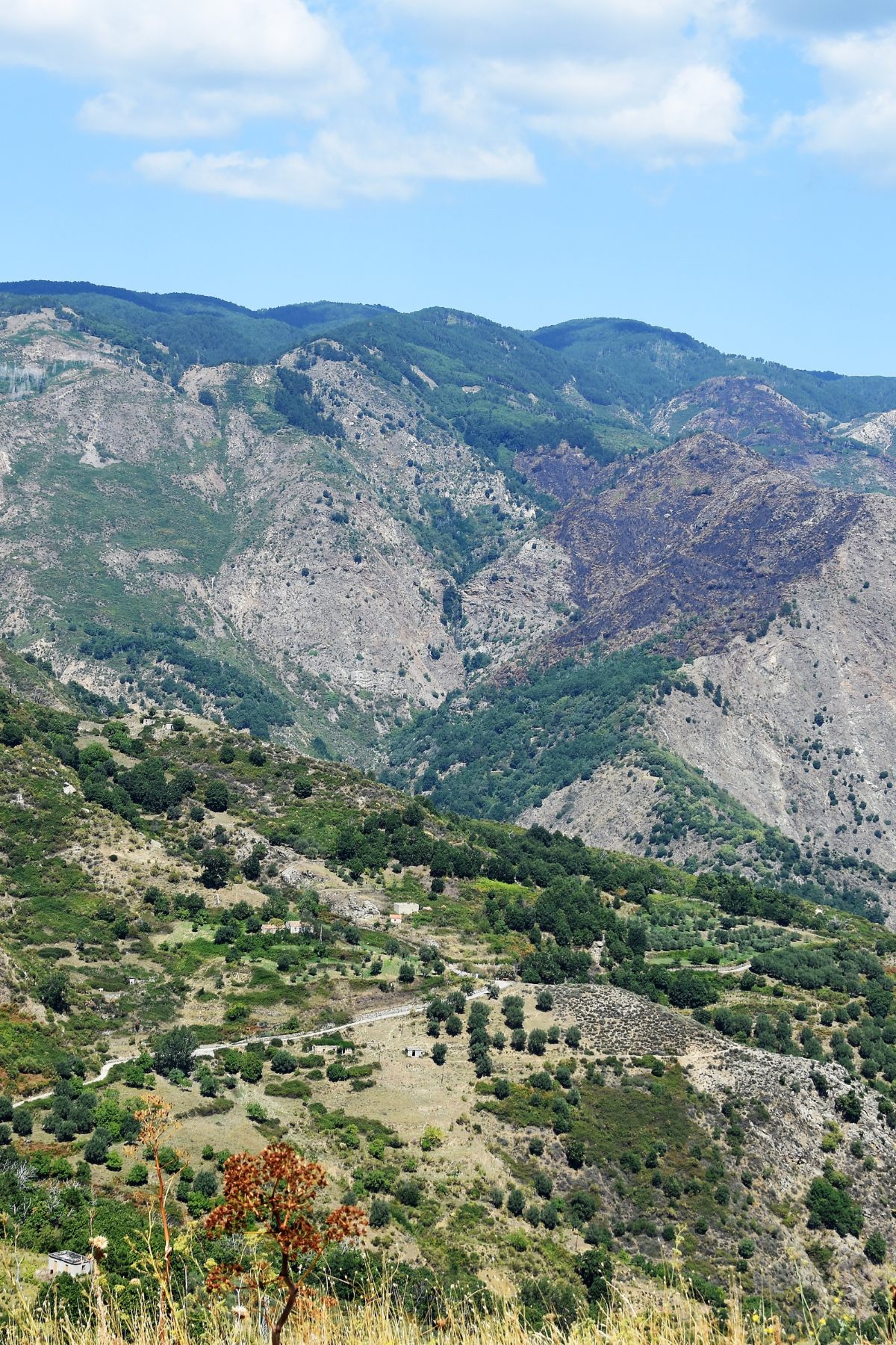 Reggio Calabria travel guide.