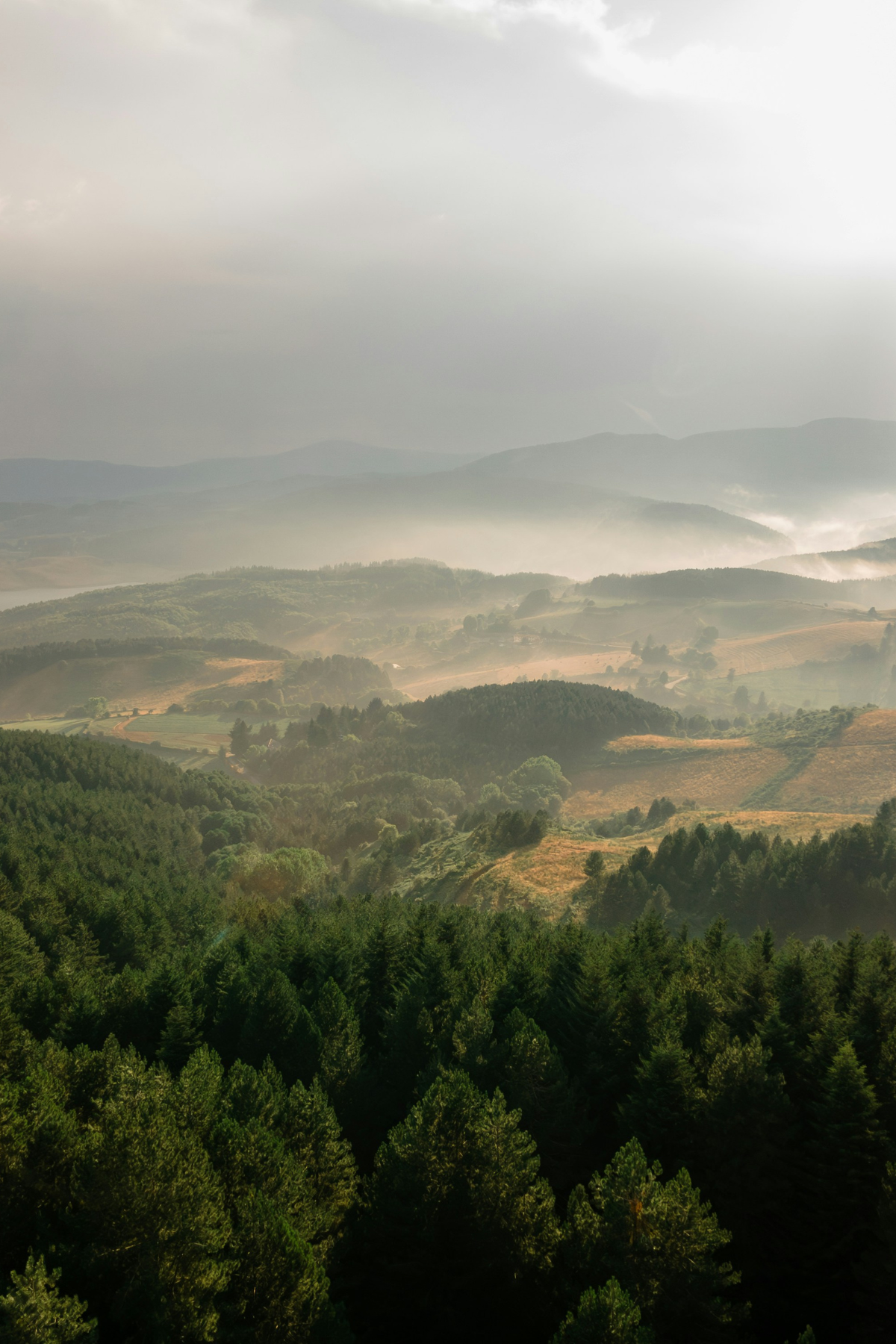 Catanzaro, Italy landscape image.