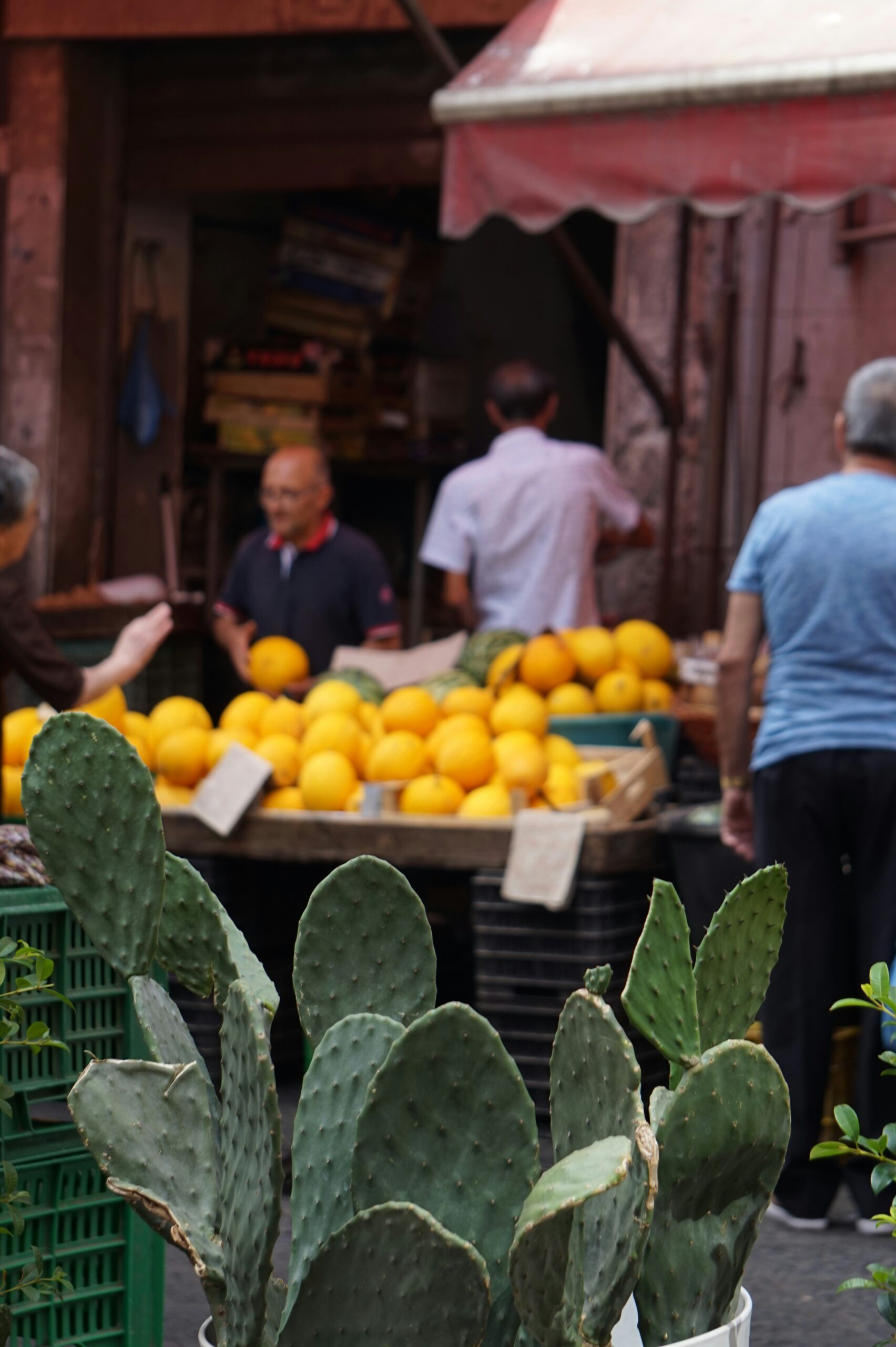 Image of Catania, Sicily landscape.