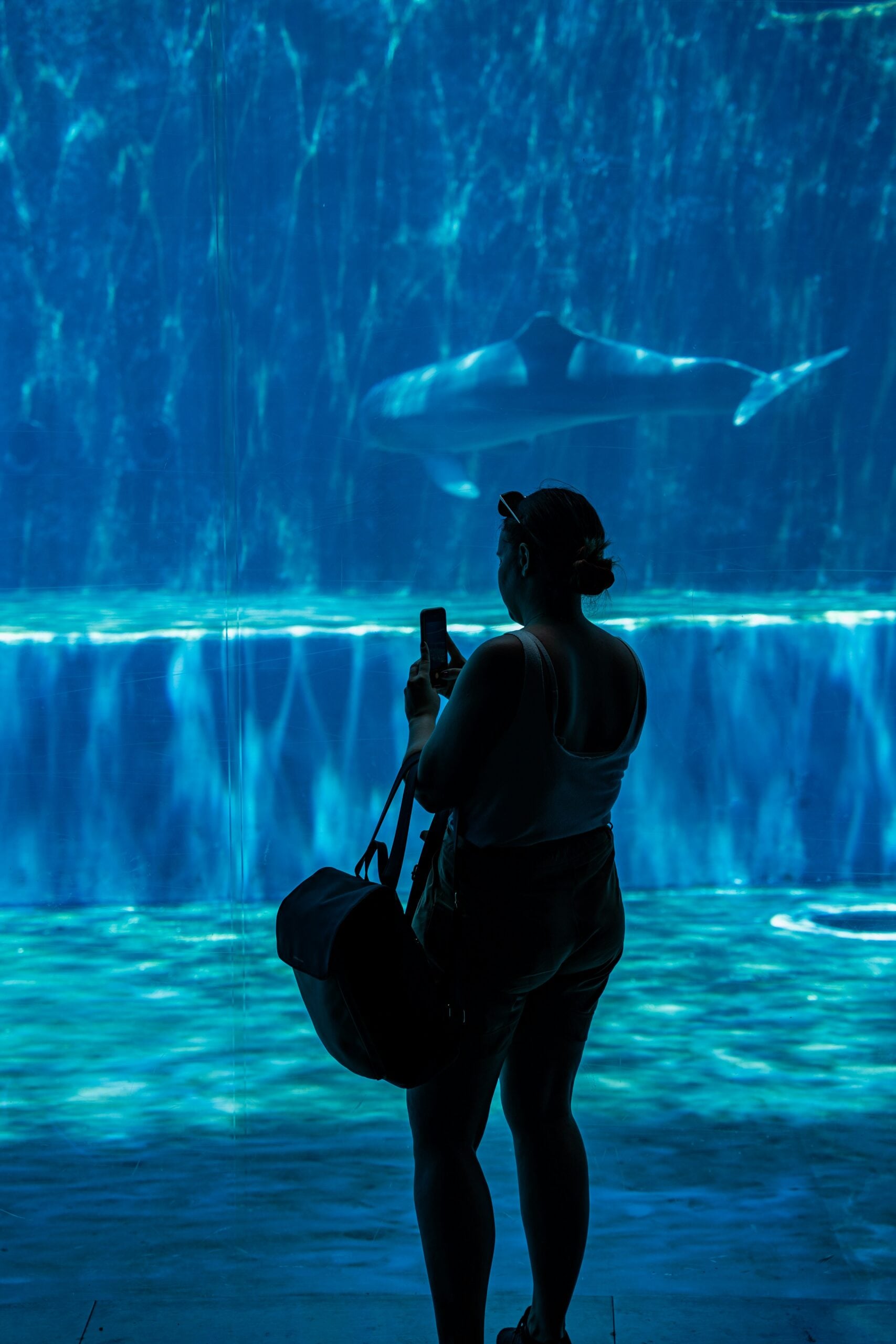 Genoa, Italy aquarium with woman in front of a tank.