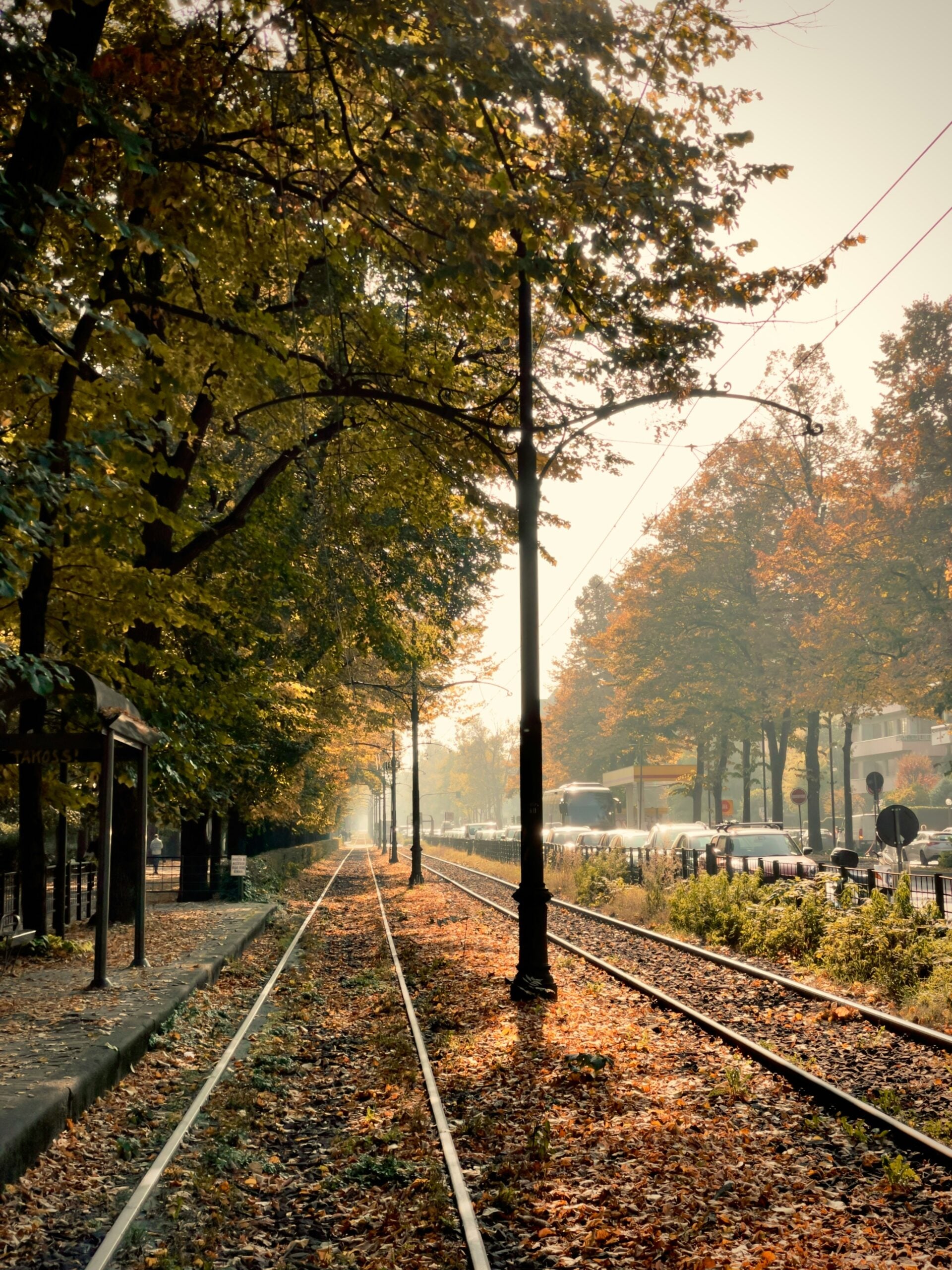 Fall leaves blanket the rail tracks within the city of Turin, creating a picturesque autumn scene. The vibrant reds, oranges, and yellows of the leaves contrast beautifully with the steel tracks, adding a touch of natural beauty to the urban landscape. Is Turin worth visiting? Absolutely! This charming image showcases the serene and enchanting side of Turin, making it a perfect destination for those who appreciate the beauty of fall foliage and the unique blend of nature within the city.