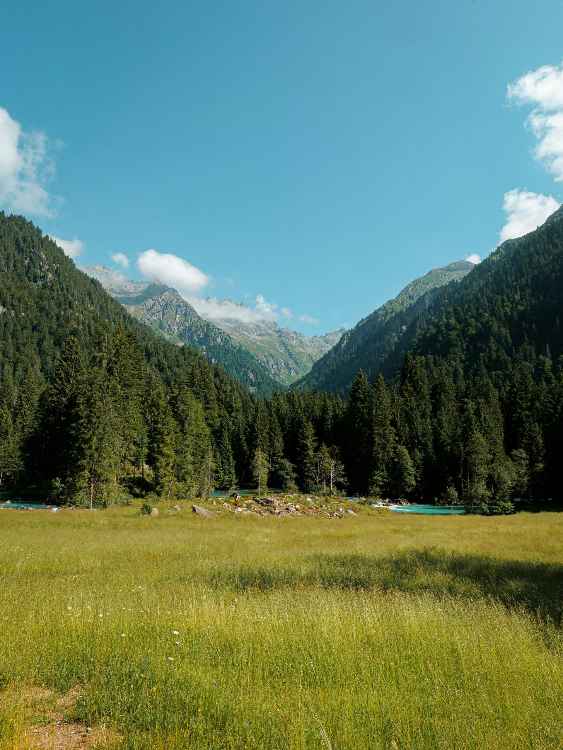 A breathtaking view of the Dolomiti mountains in Trento, Italy, with vibrant green fields stretching across the foreground. The lush meadows are dotted with wildflowers, adding bursts of color to the serene landscape. In the background, the majestic peaks of the Dolomites rise dramatically, their rugged beauty contrasting with the gentle, rolling fields below. The scene captures the tranquil and picturesque essence of the Trento region, where nature thrives in harmony with the towering mountains. Ideal for travelers seeking to explore the natural splendor of Trento, Italy, and the iconic Dolomiti.
