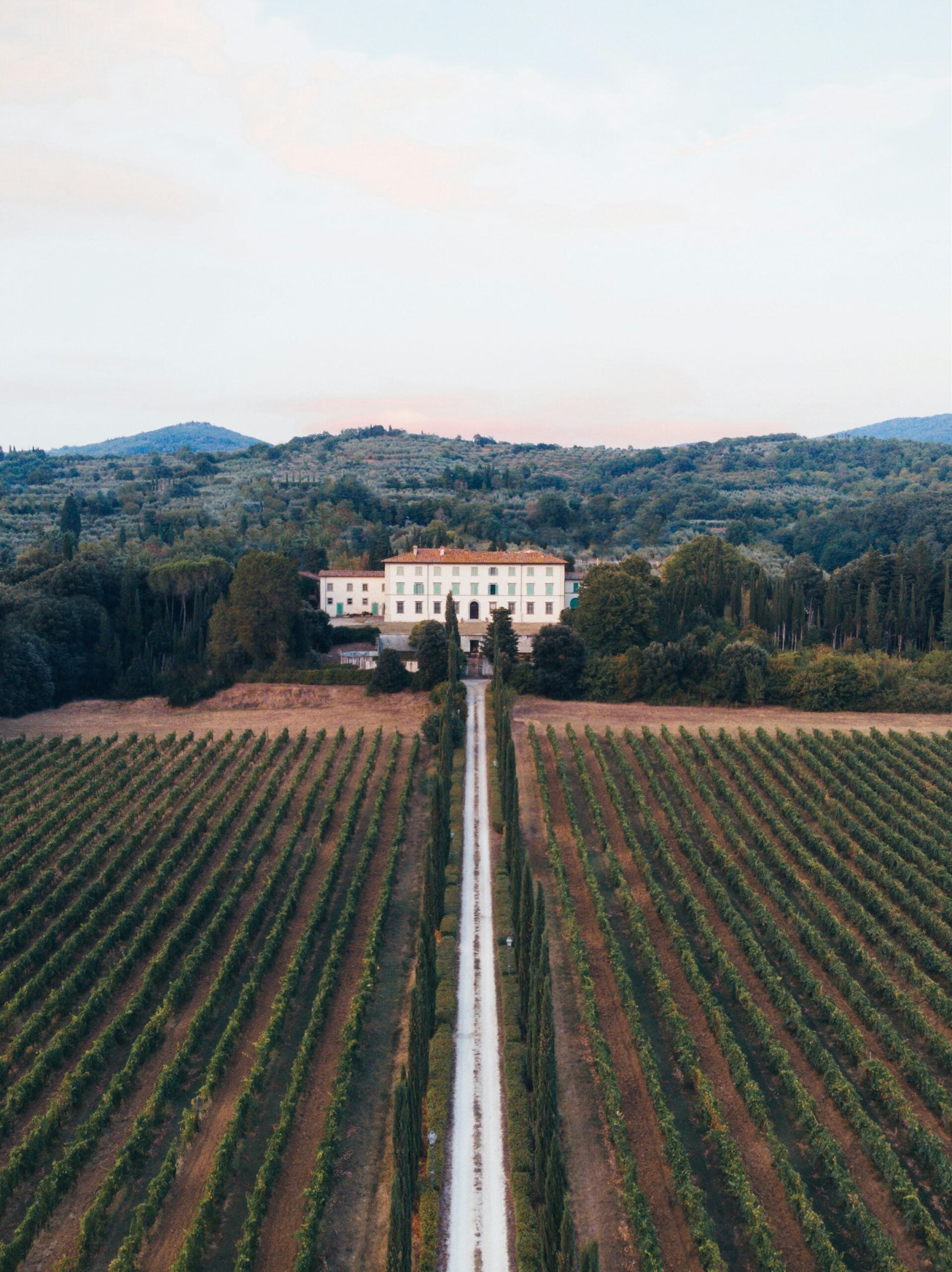 The image provides an aerial view of a sprawling wine estate in Arezzo, Italy. The estate is nestled in the rolling hills of the Tuscan countryside, surrounded by lush vineyards that stretch out in neat rows across the landscape. The central farmhouse and outbuildings, built in traditional Tuscan style with terracotta roofs and rustic stone walls, are beautifully integrated into the natural surroundings. Olive groves and cypress trees dot the landscape, adding to the idyllic scenery. This aerial perspective captures the essence of Tuscany’s renowned wine country, showcasing the agricultural beauty and timeless charm of a wine estate in Arezzo, Italy.