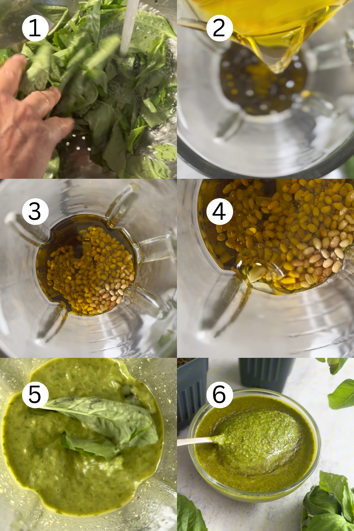 Pesto sauce recipe ingredients.