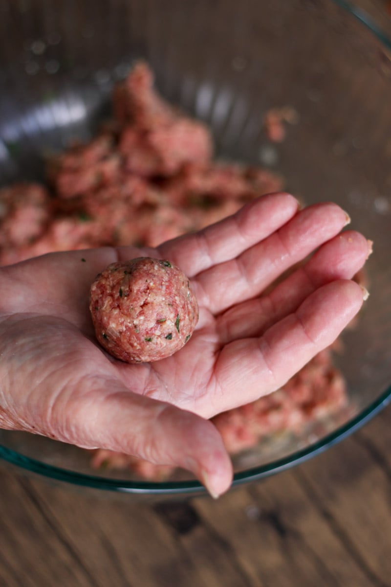 close up image of a meatball in a hand.