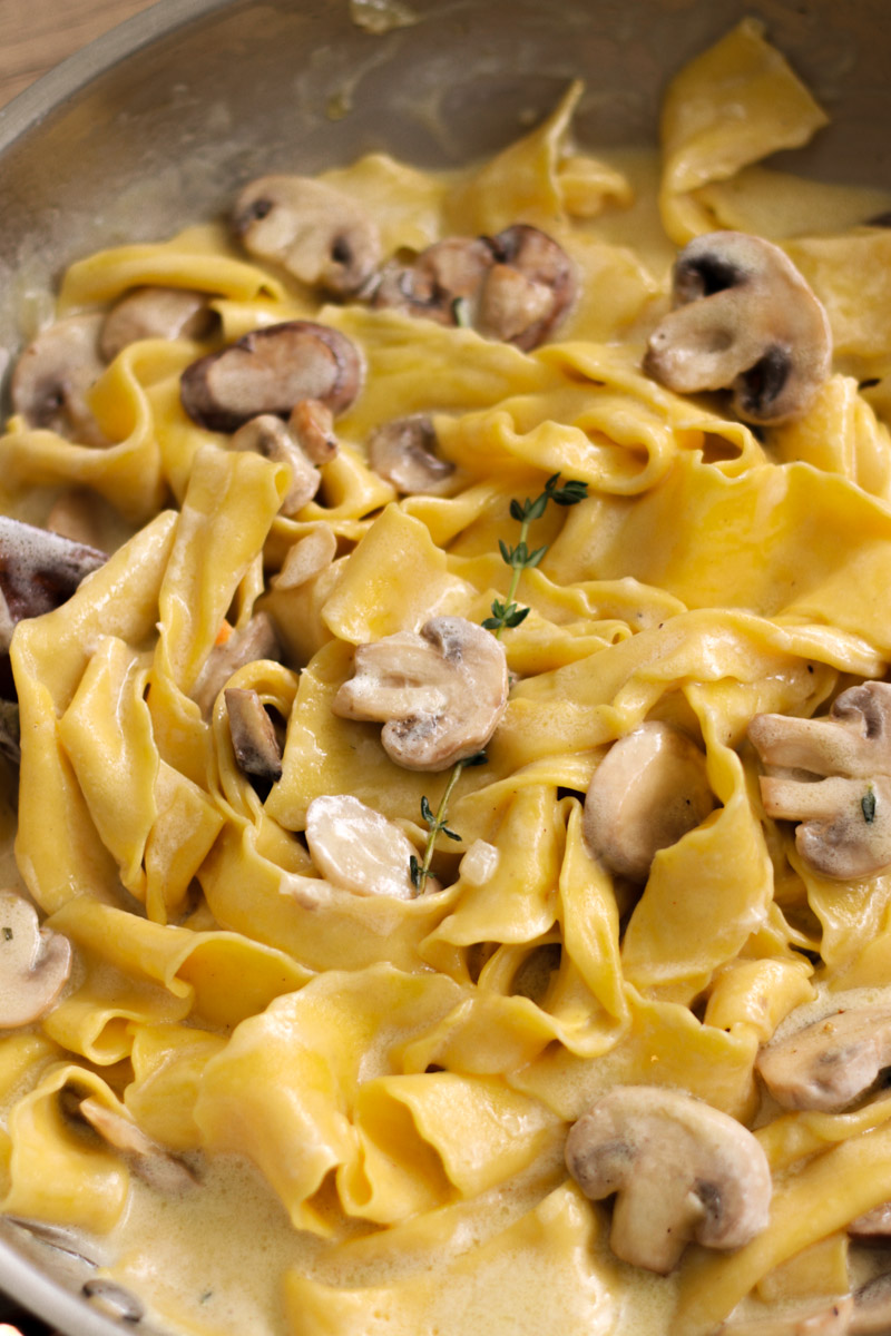 close up image of creamy mushroom pappardelle in a skillet. 
