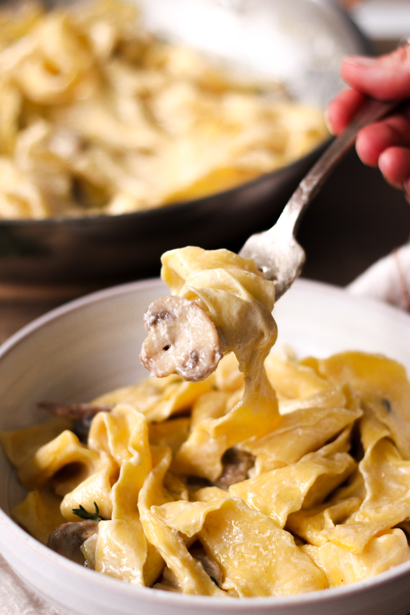 close up image of creamy mushroom pappardelle on a fork. 