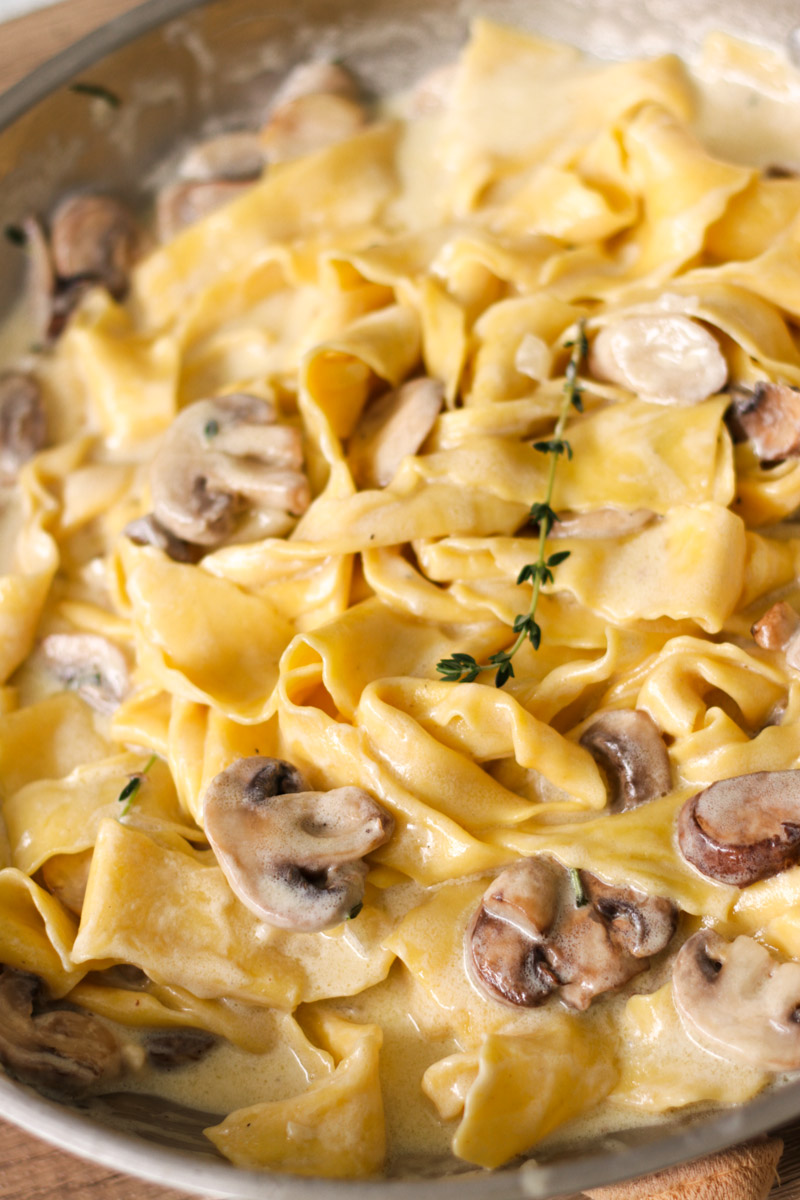 close up image of creamy mushroom pappardelle.