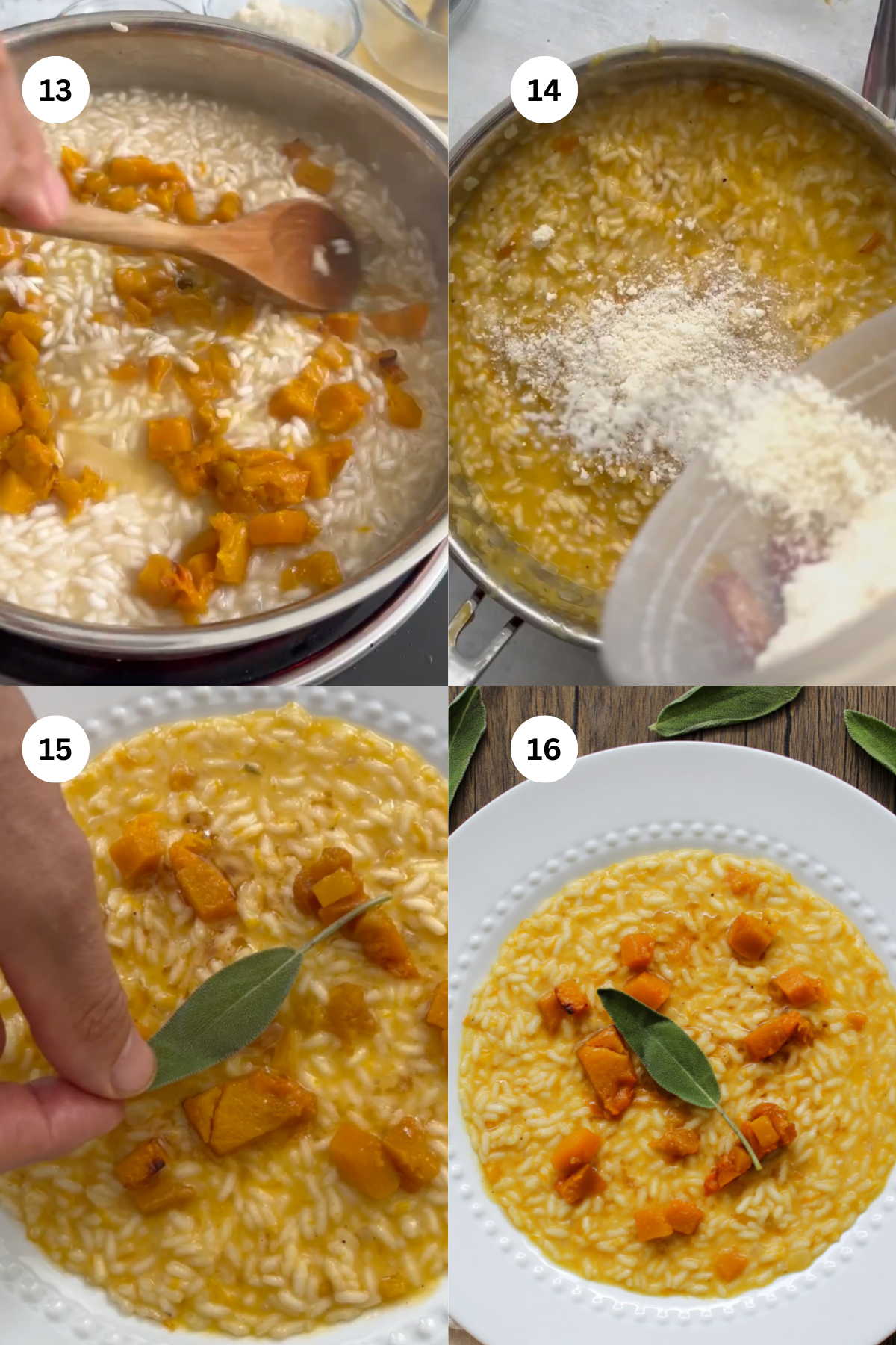 A four-step collage showing the making of pumpkin risotto: stirring squash into rice, adding grated cheese, garnishing with a sage leaf, and the finished dish on a white plate. Each step is labeled 13 to 16.