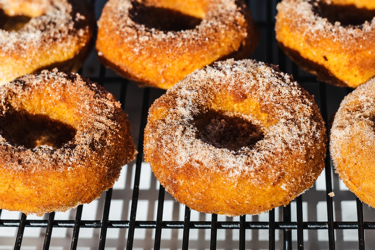 Close-up of several baked pumpkin spice donuts coated in cinnamon sugar, cooling on a black wire rack, with warm sunlight highlighting their golden-brown, textured surfaces.