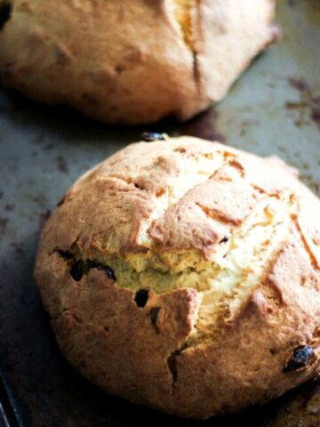 Two round loaves of golden-brown Pandolce Genovese with a rustic, cracked crust and visible raisins, resting on a worn metal baking sheet.