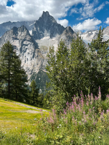 Snow-capped mountain peaks tower above lush green trees and wildflowers under a partly cloudy sky, creating a vibrant alpine landscape.