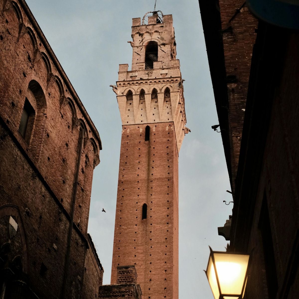 A tall, medieval brick tower rises against a pale sky in Siena, Italy, with part of an old building and a lit streetlamp in the foreground. A bird soars nearby—one of many charming sights among things to do in Siena, Italy.